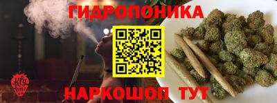 тгк Аргун