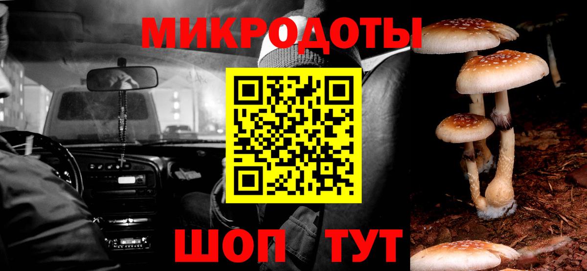 Аргун  Псилоцибиновые грибы прущие грибы  Вход с VPN  Псилоцибиновые грибы ЛСД 